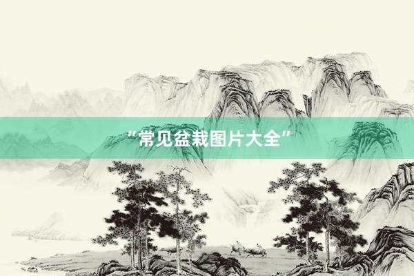 “常见盆栽图片大全”