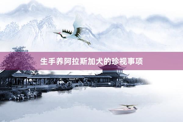 生手养阿拉斯加犬的珍视事项