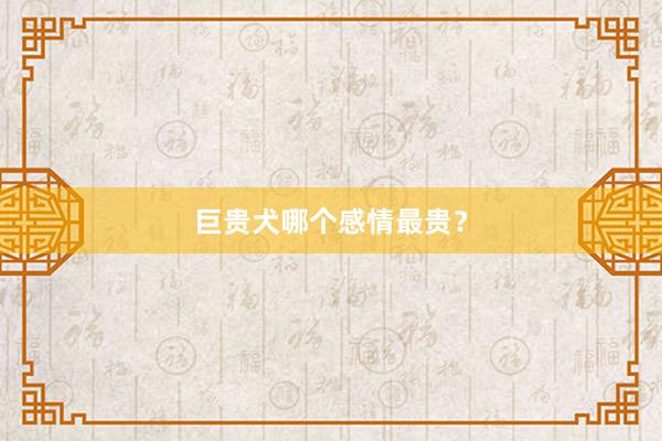 巨贵犬哪个感情最贵？
