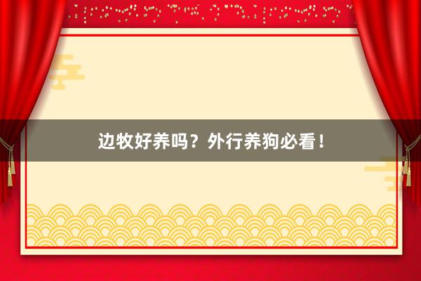 边牧好养吗？外行养狗必看！